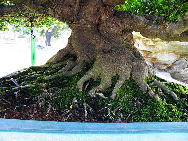 DSCF9087.JPG DSCF9087.JPG