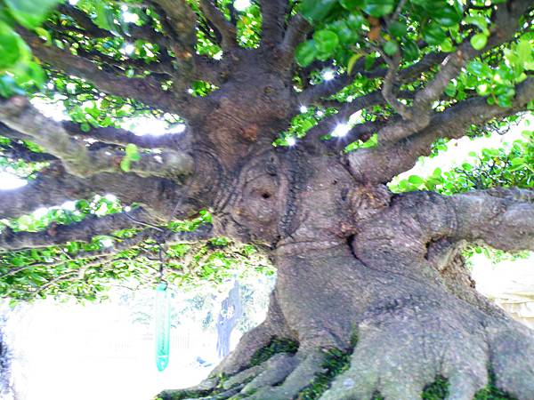 DSCF9088.JPG DSCF9088.JPG