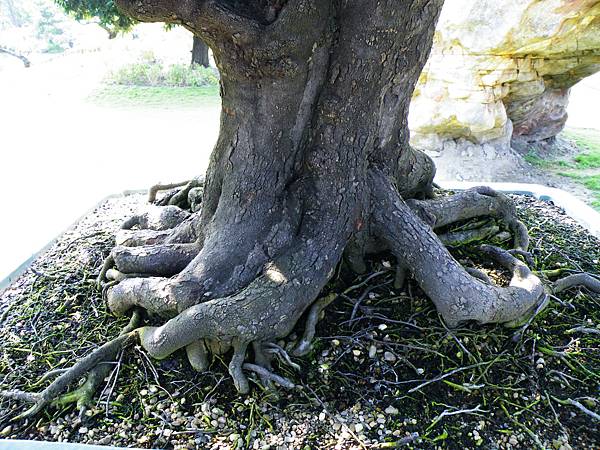 DSCF9093.JPG DSCF9093.JPG