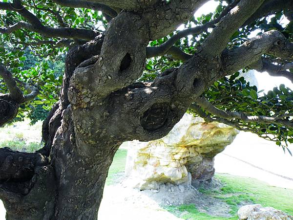 DSCF9094.JPG DSCF9094.JPG