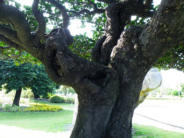 DSCF9095.JPG DSCF9095.JPG