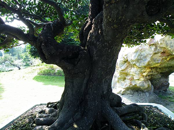 DSCF9096.JPG DSCF9096.JPG