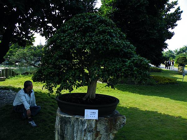 DSCF9101.JPG DSCF9101.JPG