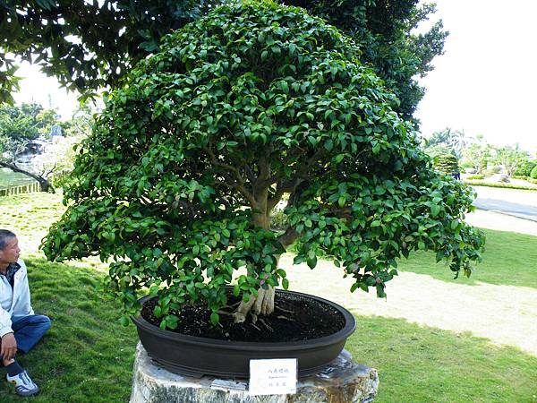 DSCF9102.JPG DSCF9102.JPG