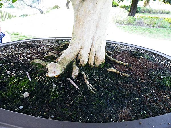 DSCF9103.JPG DSCF9103.JPG