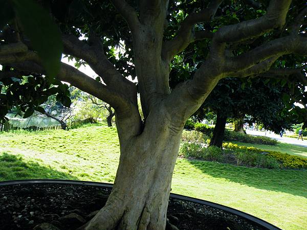 DSCF9104.JPG DSCF9104.JPG