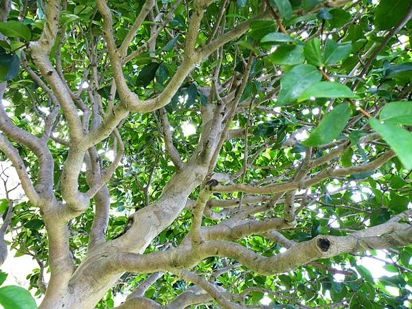 DSCF9105.JPG DSCF9105.JPG