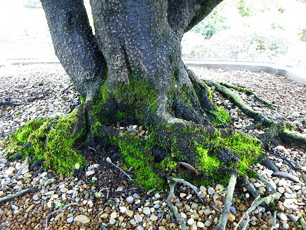 DSCF9108.JPG DSCF9108.JPG