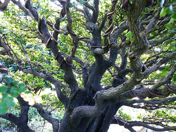 DSCF9110.JPG DSCF9110.JPG