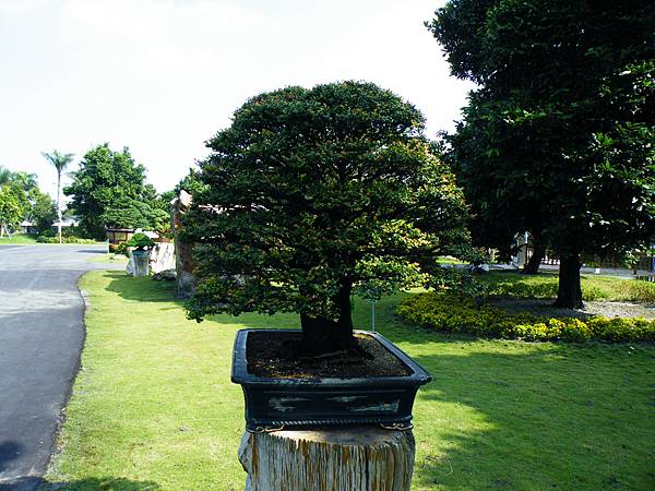 DSCF9113.JPG DSCF9113.JPG