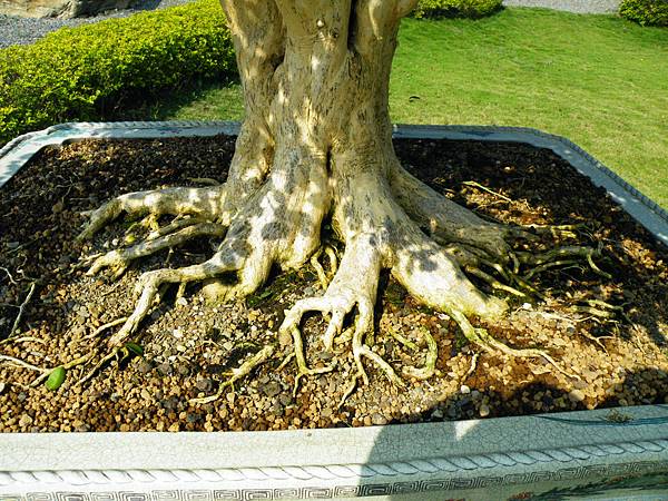 DSCF9117.JPG DSCF9117.JPG