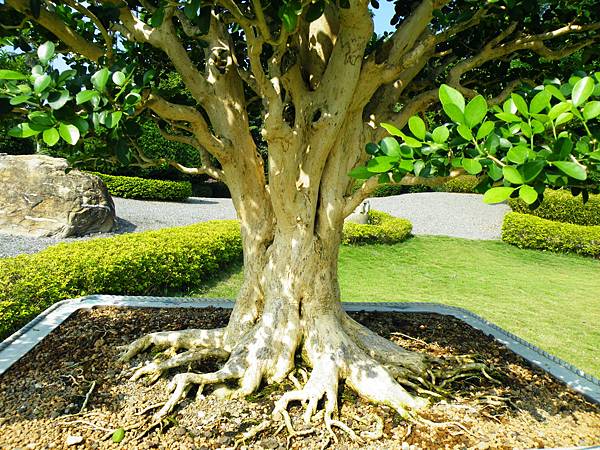 DSCF9118.JPG DSCF9118.JPG