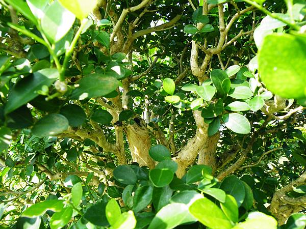 DSCF9120.JPG DSCF9120.JPG