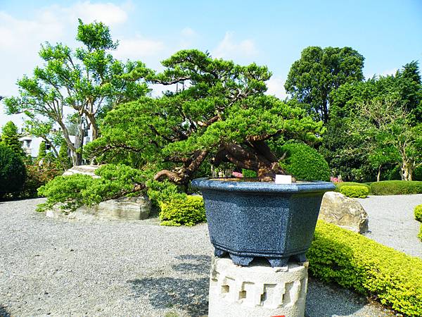 DSCF9122.JPG DSCF9122.JPG