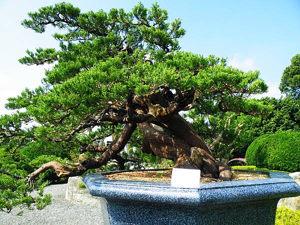 DSCF9123.JPG DSCF9123.JPG