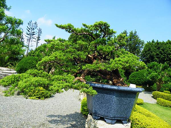 DSCF9124.JPG DSCF9124.JPG