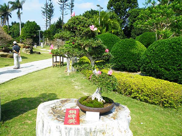 DSCF9125.JPG DSCF9125.JPG