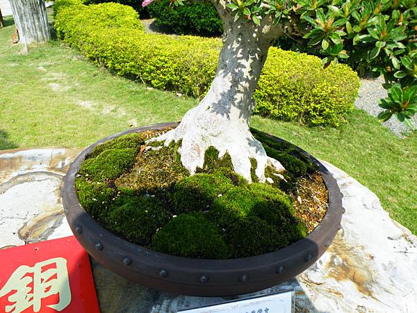 DSCF9126.JPG DSCF9126.JPG