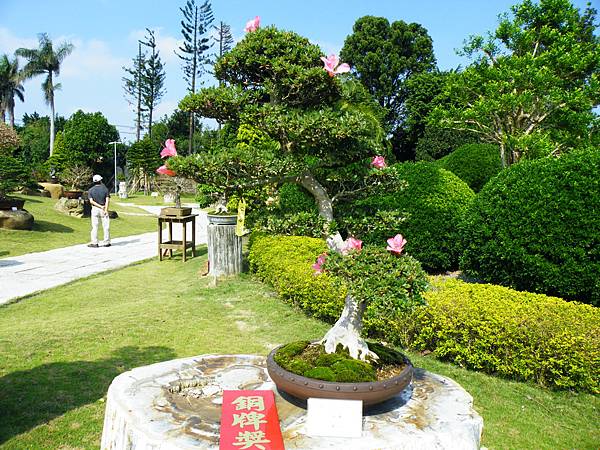 DSCF9128.JPG DSCF9128.JPG