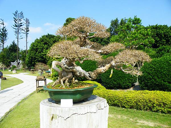 DSCF9129.JPG DSCF9129.JPG