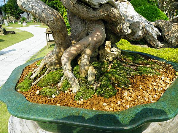 DSCF9131.JPG DSCF9131.JPG