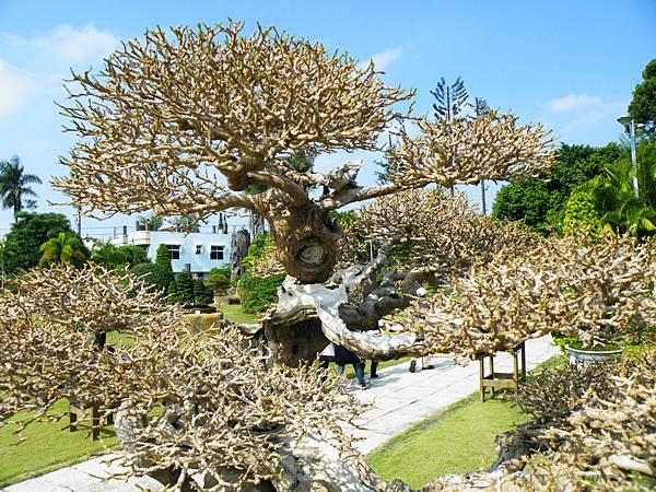 DSCF9134.JPG DSCF9134.JPG