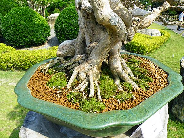 DSCF9136.JPG DSCF9136.JPG