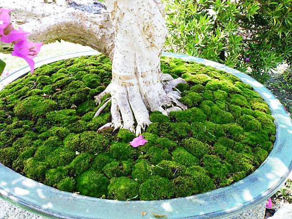 DSCF9138.JPG DSCF9138.JPG