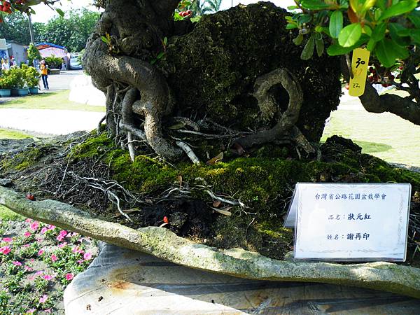 DSCF9142.JPG DSCF9142.JPG