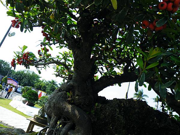 DSCF9143.JPG DSCF9143.JPG