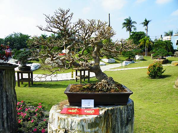 DSCF9145.JPG DSCF9145.JPG