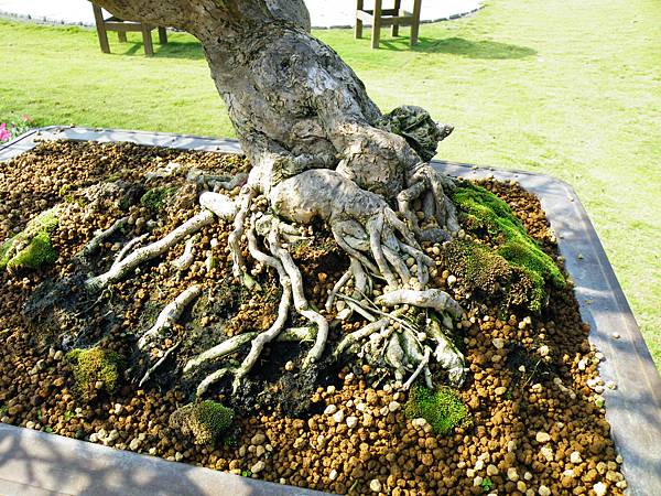 DSCF9146.JPG DSCF9146.JPG