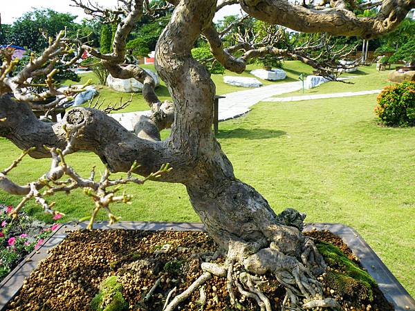 DSCF9147.JPG DSCF9147.JPG