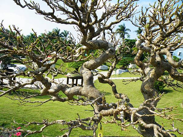 DSCF9148.JPG DSCF9148.JPG