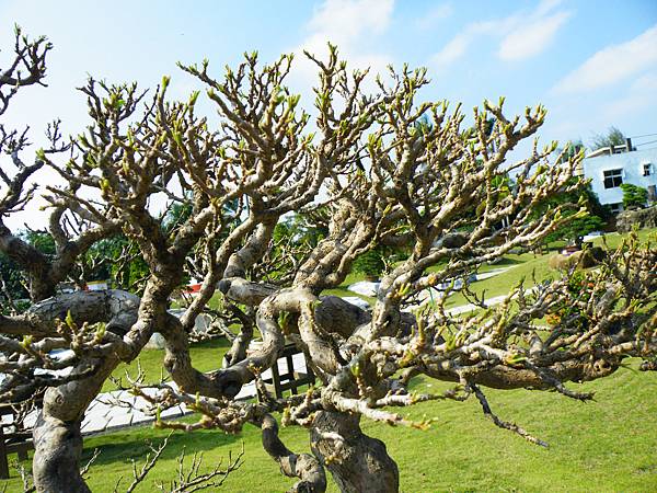 DSCF9149.JPG DSCF9149.JPG