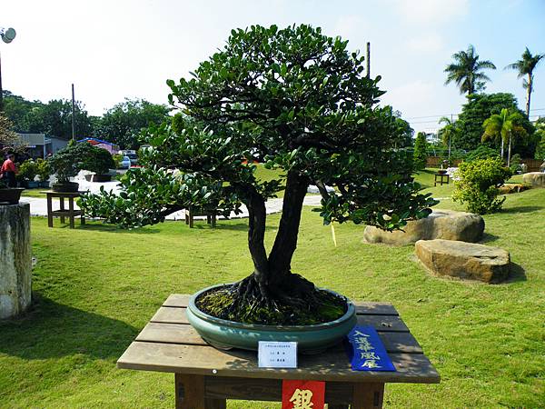 DSCF9150.JPG DSCF9150.JPG