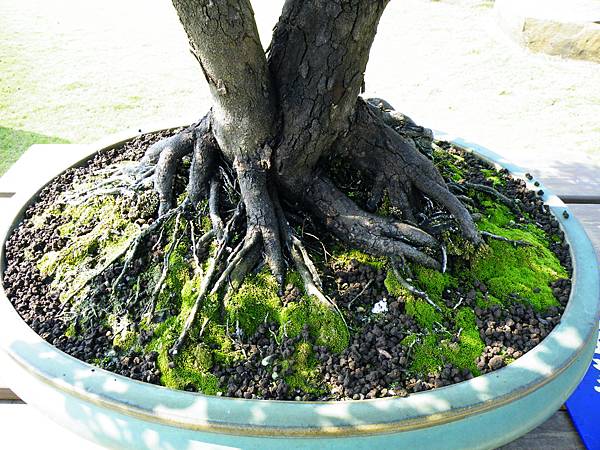 DSCF9151.JPG DSCF9151.JPG