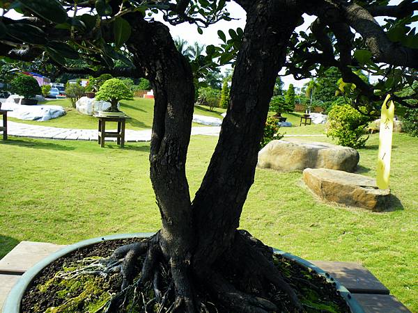 DSCF9152.JPG DSCF9152.JPG