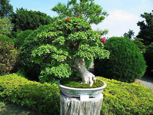 DSCF9154.JPG DSCF9154.JPG