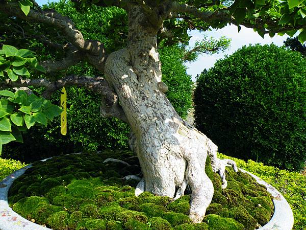 DSCF9156.JPG DSCF9156.JPG