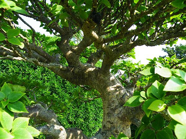 DSCF9157.JPG DSCF9157.JPG