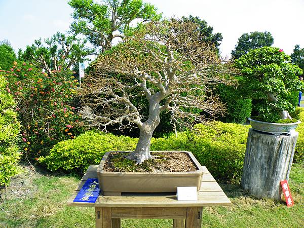 DSCF9159.JPG DSCF9159.JPG