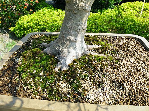 DSCF9160.JPG DSCF9160.JPG