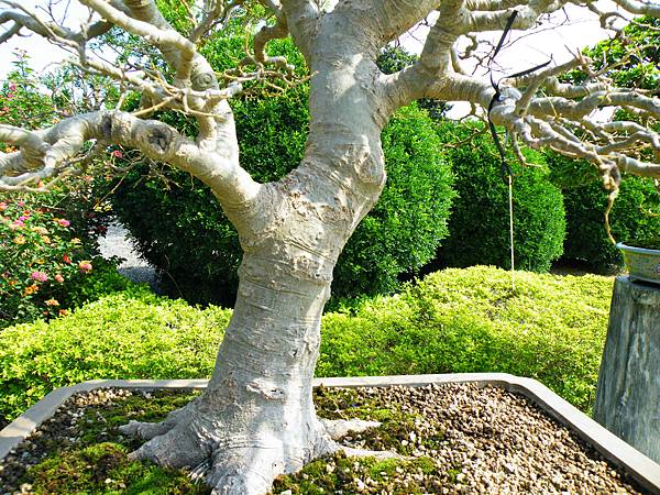 DSCF9161.JPG DSCF9161.JPG