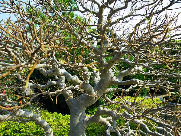 DSCF9162.JPG DSCF9162.JPG