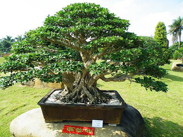 DSCF9164.JPG DSCF9164.JPG