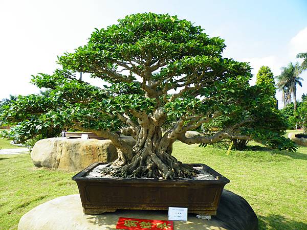 DSCF9165.JPG DSCF9165.JPG