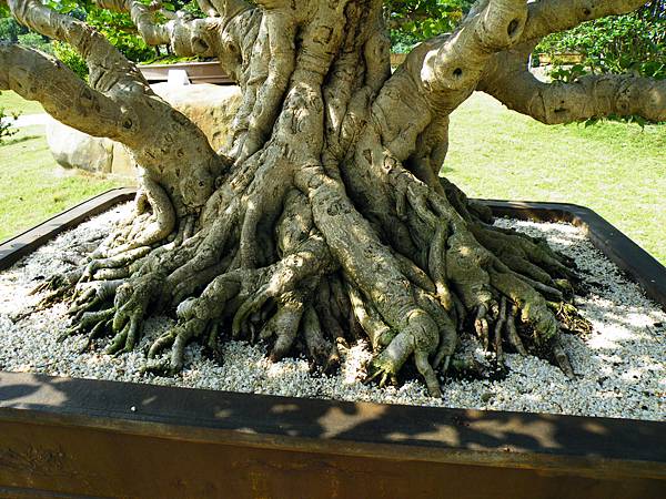 DSCF9166.JPG DSCF9166.JPG