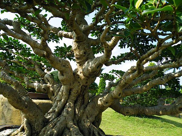 DSCF9167.JPG DSCF9167.JPG