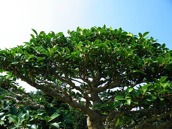 DSCF9169.JPG DSCF9169.JPG